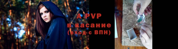 спайс Арсеньев