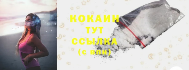 прущие грибы Нефтекумск
