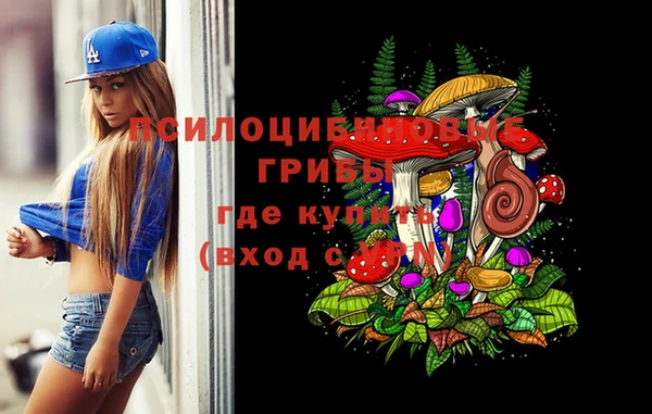 спайс Арсеньев