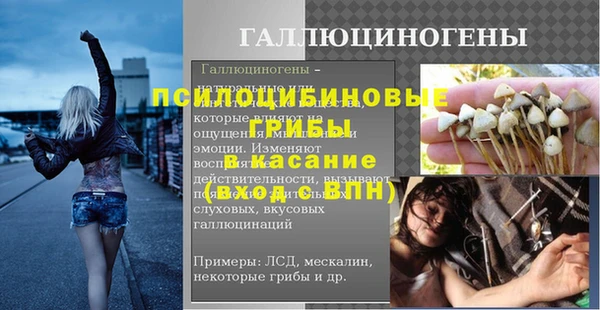 спайс Арсеньев