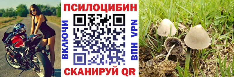 Галлюциногенные грибы мухоморы  Солигалич 